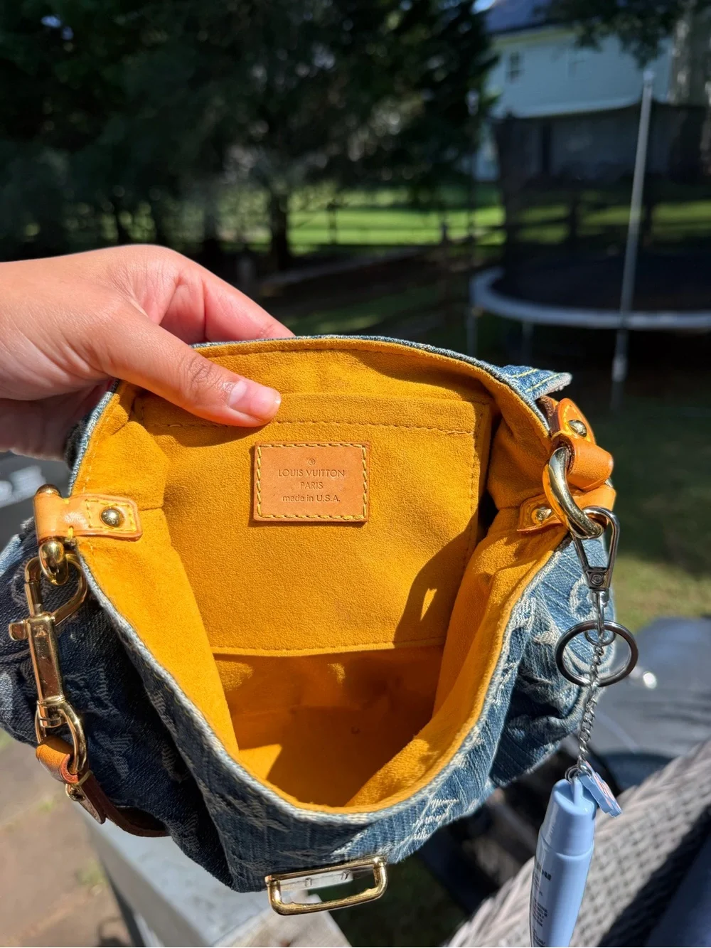 Louis Vuitton monogram pleaty bag
